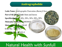 Andrographis Paniculata استخراج آندروگرافولید