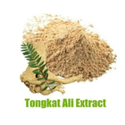 1% Eurycomanone Tongkat Ali Extract Powder As Anti Viral Supplement