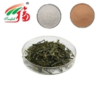 Green Tea Extract Powder EGCG Anti Atherogenic Lowering Cholesterol & Triglycerides