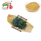 Instant Green Tea Powder Strong Green Tea Flavor 100% Soluble in Water