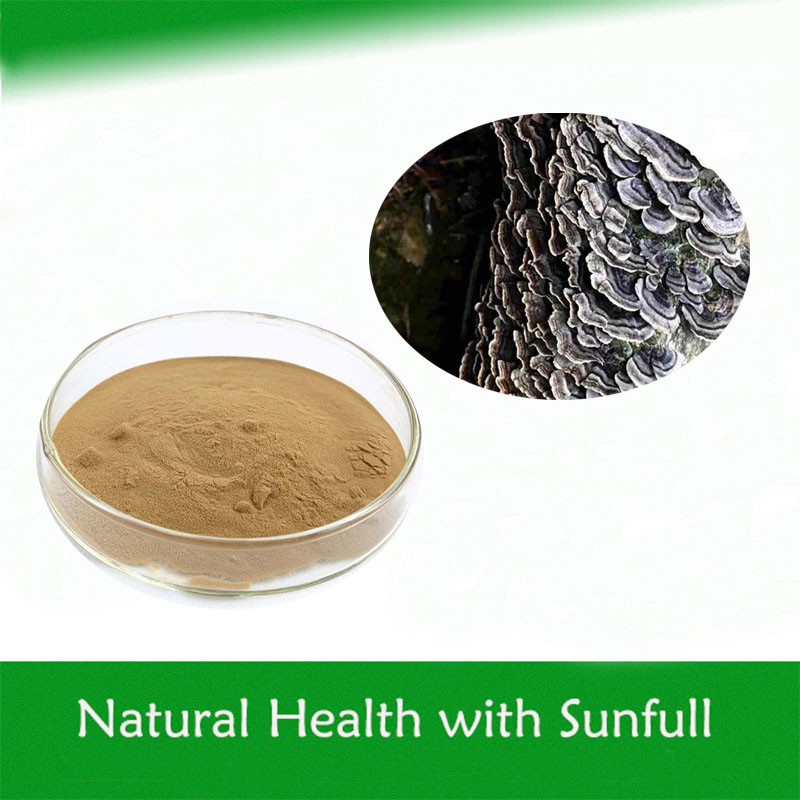 Coriolus Versicolor Extract 10٪ تا 50٪ پلی ساکریدها PSK PSP دم بوقلمون عصاره قارچ