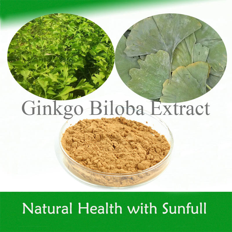 عصاره برگ جینکو بیلوبا 24/6 CAS 90045-36-6 Cp USP561 Ep EC396