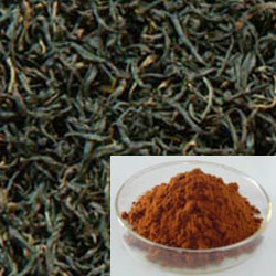 پودر چای سیاه فوری، عطر چای سیاه غنی با مایع رنگ زرد