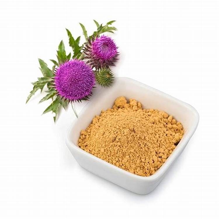 گیاه گیاهی دود آویزان استخراج ۸۰٪ سیلیمارین ۰ نگهبان طبیعت برای سلامت کبد و سم زدایی