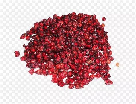 سلامت خود را با عصاره گیاهی طبیعی SA-Herbal Schisandra Berry Extract 10:1 بهبود ببخشید