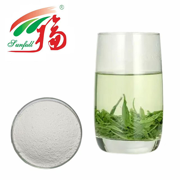 قدرت آنتی اکسیدان نهایی! 98٪ EGCG عصاره چای سبز - سپر طبیعت برای حیات