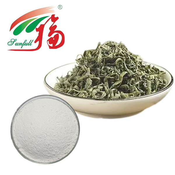 قدرت آنتی اکسیدان نهایی! 98٪ EGCG عصاره چای سبز - سپر طبیعت برای حیات