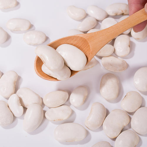 عصاره دانه های کلیوی سفید برتر (Phaseolus Vulgaris) - مهار کننده α-Amylase با خلوص بالا برای کنترل وزن و قند خون