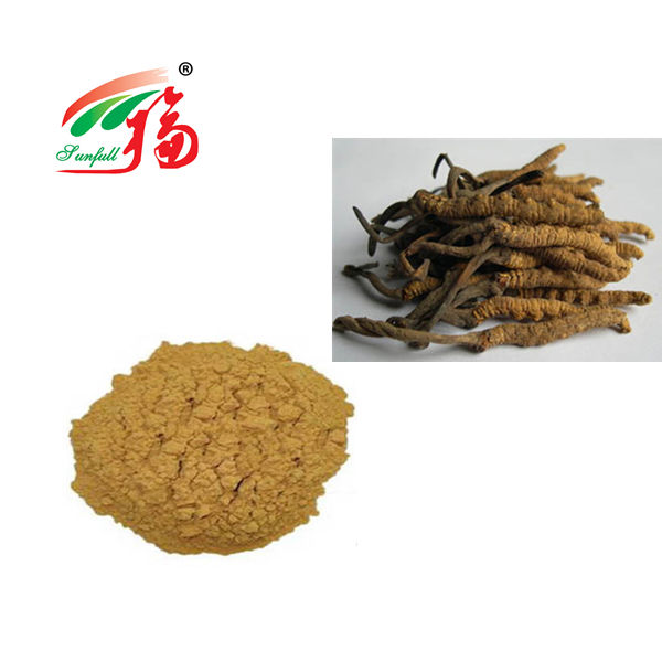 پودر قارچ Cordyceps 80 Mesh برای حمایت از سیستم ایمنی بدن 25 کیلوگرم