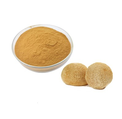 پودر عصاره Hericium Erinaceus با 40% پلی ساکارید برای بهبود بیماری های معده و محافظت از کبد در غذای عملکردی