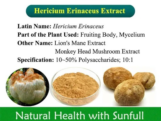 Hericium Erinaceus Extract 10٪ پلی ساکاریدهای نازک قهوه ای زرد پودر برای بیماری های معده و حفاظت از کبد