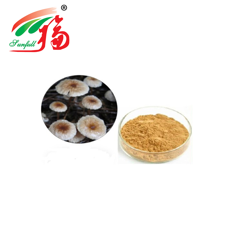 پودر استخراج Marasmius Androsaceus با کیفیت بالا با اندازه 80 میش 2 سال عمر و ظرفیت تولید 20 تن در سال