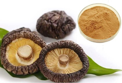 Reishi Mushroom Extract 50% Polysaccharides Fine Brown Yellow Powder for Enhancing Immunity and Liver Protection