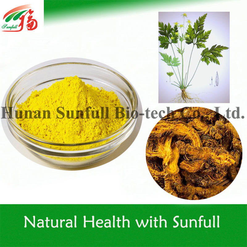 100٪ هیدروکلورید بربرین طبیعی 97٪ 98٪ از ریشه Coptis chinensis با شماره CAS 633-65-8