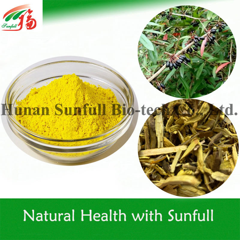 عصاره ضد باکتری بربرین هیدروکلوراید پودر بلوری زرد از گونه بربریس (باربری) با شماره CAS 633-65-8