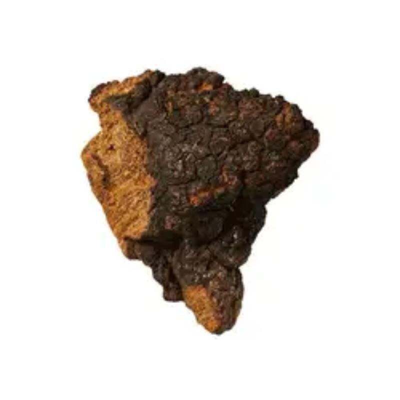 عصاره چگا 10٪ پلی ساکاریدهای نازک قهوه ای زرد پودر برای مواد غذایی کاربردی و محصولات مراقبت های بهداشتی