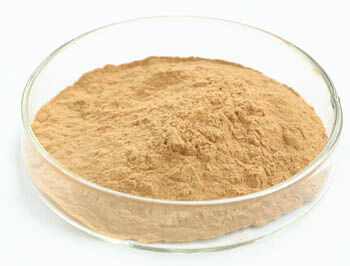 پودر عصاره قارچ صدف با 20٪ پلی ساکارید برای مواد غذایی کاربردی در پودر زرد قهوه ای نازک