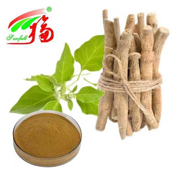 Withania Somnifera آفریقای جنوبی Withanolides 5٪ عصاره ریشه اشواگاندا مواد غذایی محصولات بهداشتی
