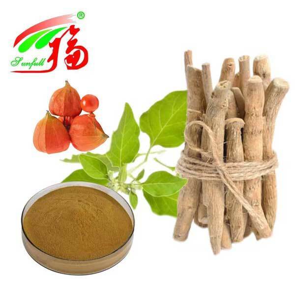 Withania Somnifera آفریقای جنوبی Withanolides 5٪ عصاره ریشه اشواگاندا مواد غذایی محصولات بهداشتی