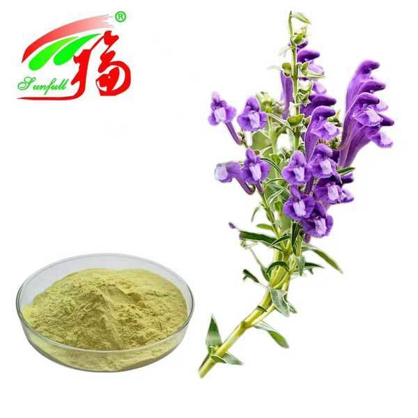 مواد تشکیل دهنده مراقبت های بهداشتی 10٪ تا 95٪ بایکالین بایکالین پودر Scutellaria baicalensis Georgi عصاره Radix Scutellariae عصاره Baikal Skullcap Extract