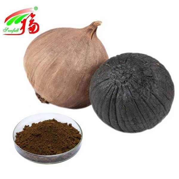 Black Garlic Extract Powder Polyphenol1%-3% S-Alloy-L-Cystein 0.1%-1% Allium Sativum L. Extract