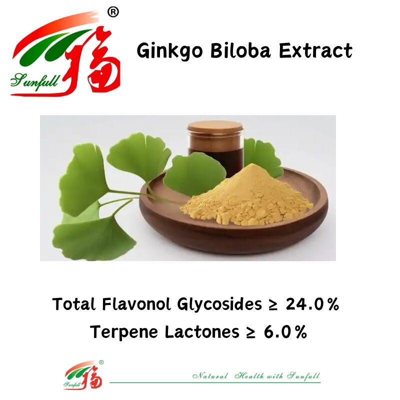 100٪ طبیعی محلول در آب 24٪ Ginkgogolides پودر عصاره برگ جینکو بیلوبا برای مکمل های غذایی