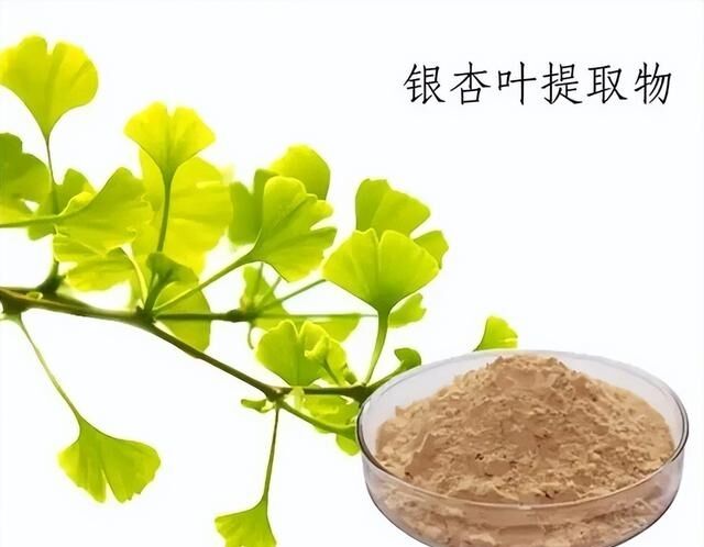 100٪ طبیعی محلول در آب 24٪ Ginkgogolides پودر عصاره برگ جینکو بیلوبا برای مکمل های غذایی