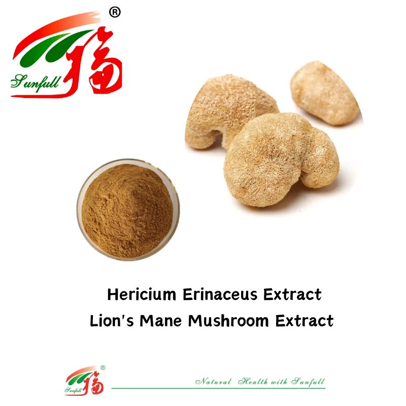 مکمل های غذایی Hunan Sunfull Agaricus Subrufescens/Hericium Erinaceus/Antrodia/Cordyceps Sinensis/Coriolus Versicolor/پودر عصاره قارچ