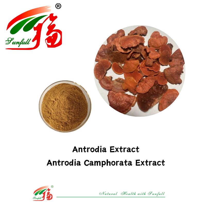 مکمل های غذایی Hunan Sunfull Agaricus Subrufescens/Hericium Erinaceus/Antrodia/Cordyceps Sinensis/Coriolus Versicolor/پودر عصاره قارچ