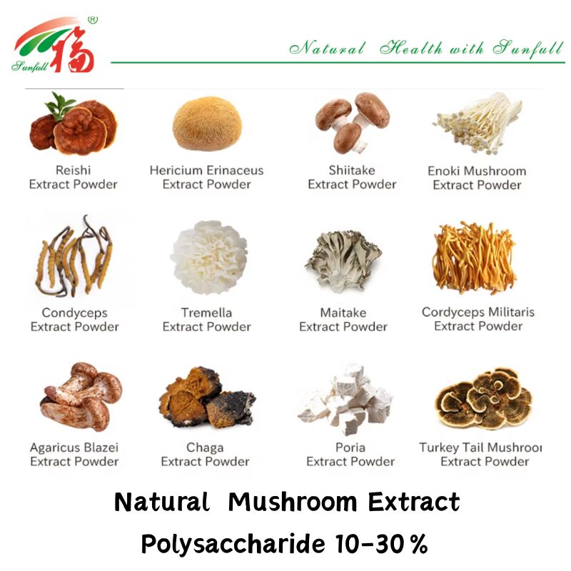 ماده طبیعی ارگانیک مکمل های غذایی پلی ساکارید 10-30٪ Phellinus Igniarius /Ganoderma Lucidum /Chaga / Maitake / Shiitake Mushroom Extract Powder