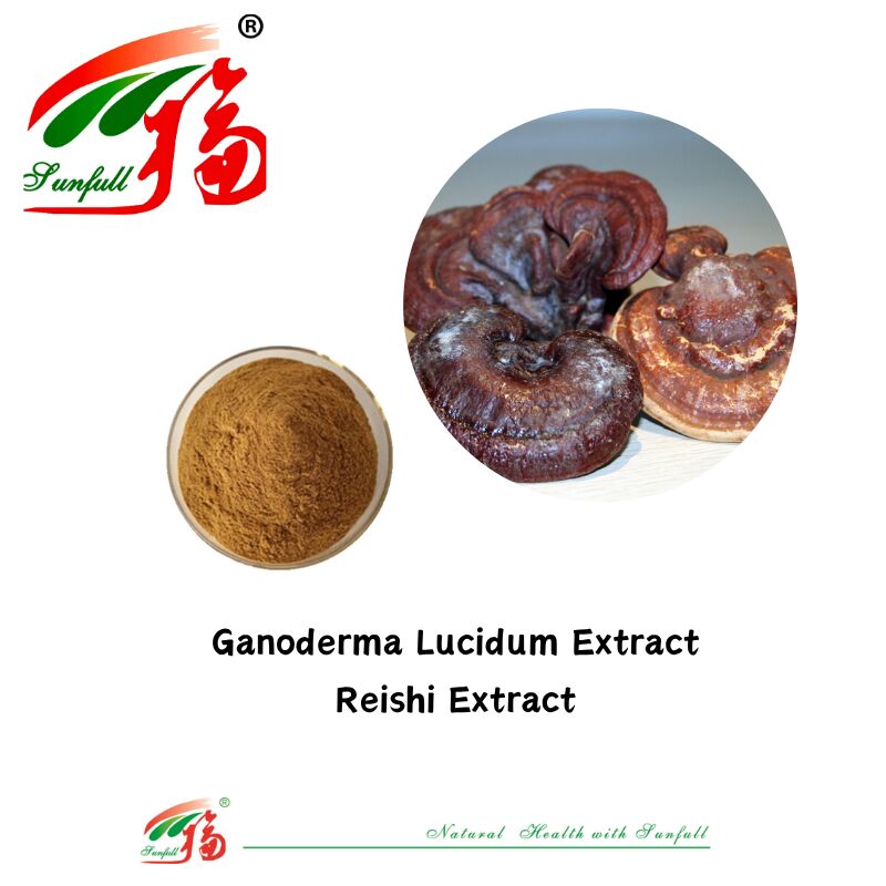 ماده طبیعی ارگانیک مکمل های غذایی پلی ساکارید 10-30٪ Phellinus Igniarius /Ganoderma Lucidum /Chaga / Maitake / Shiitake Mushroom Extract Powder