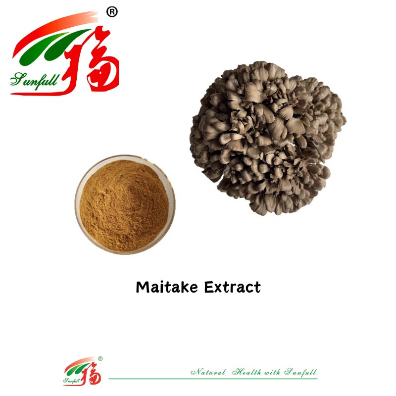 ماده طبیعی ارگانیک مکمل های غذایی پلی ساکارید 10-30٪ Phellinus Igniarius /Ganoderma Lucidum /Chaga / Maitake / Shiitake Mushroom Extract Powder