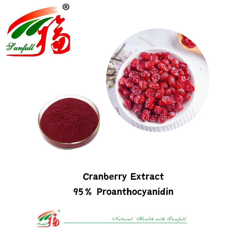 عرضه کارخانه با کیفیت بالا 100٪ آنتی اکسیدان طبیعی OPC Proanthocyanidin 95٪ پوست بادام زمینی / پوست درخت کاج / زغال اخته / عصاره هسته انگور