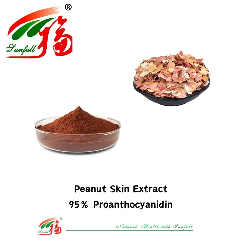 عرضه کارخانه با کیفیت بالا 100٪ آنتی اکسیدان طبیعی OPC Proanthocyanidin 95٪ پوست بادام زمینی / پوست درخت کاج / زغال اخته / عصاره هسته انگور