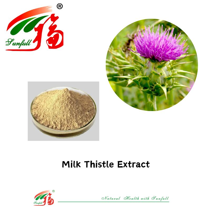 پودر گیاه خار مریانوم گیاهی خار مریم 30% Silybins HPLC UV 40% ~ 80% لیپوزوم 40% - 80% سیلیمارین عصاره خار مریم برای سلامت کبد