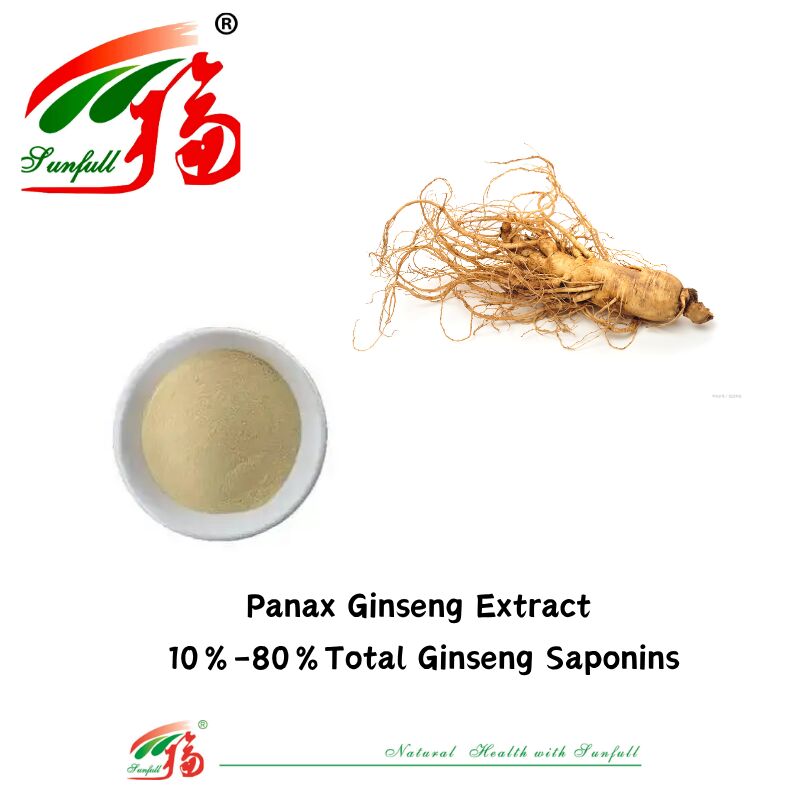 تولید کننده Sunfull نمونه رایگان داروی سنتی چینی HPLC ارگانیک 10٪ 80٪ جینسنوزیدز جینسینگ آمریکایی / عصاره جینسینگ کره ای / عصاره جینسینگ پانکس