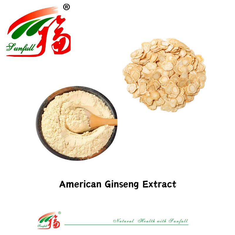 تولید کننده Sunfull نمونه رایگان داروی سنتی چینی HPLC ارگانیک 10٪ 80٪ جینسنوزیدز جینسینگ آمریکایی / عصاره جینسینگ کره ای / عصاره جینسینگ پانکس