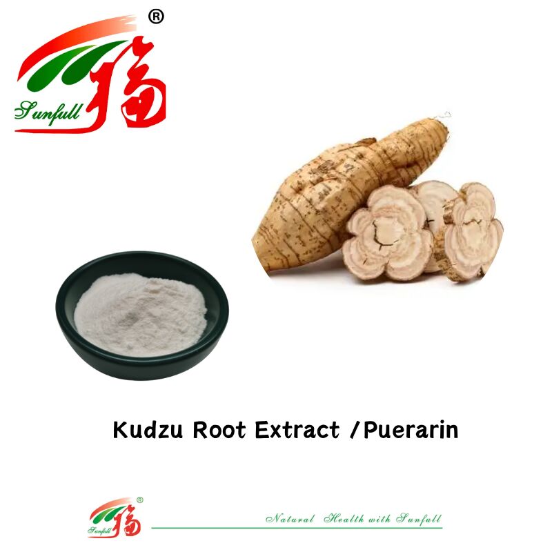 نمونه ی رایگان عصاره ی ریشه ی Kudzu با کیفیت بالا Pueraria Lobata عصاره ی Puerarin ۱۰٪ تا ۹۸٪ CAS ۳۶۸۱-۹۹۰