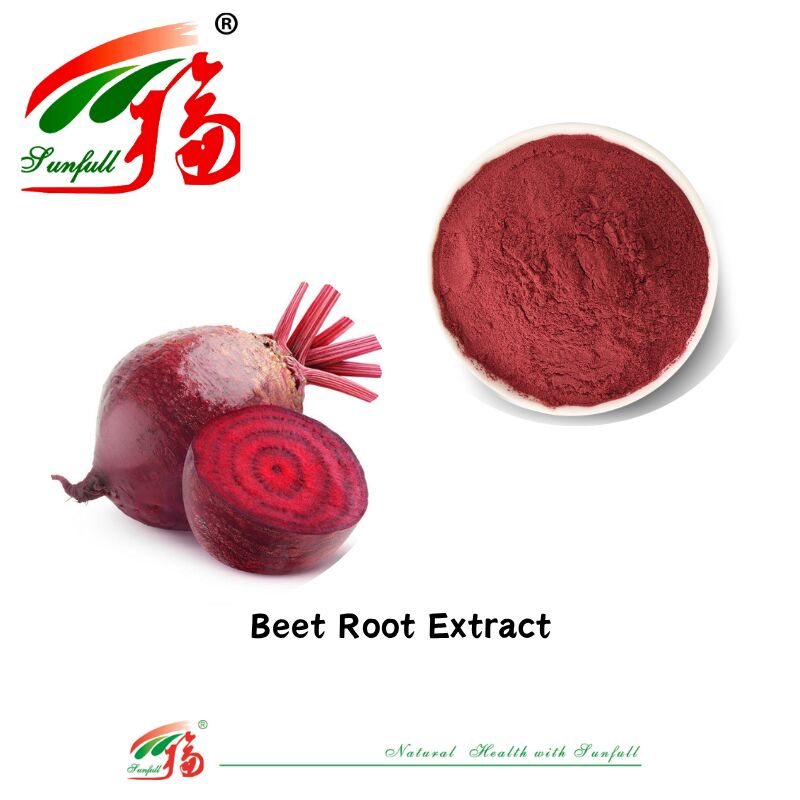 100٪ عصاره گیاهی طبیعی رنگدانه طبیعی ارگانیک عصاره تازه خشک ریشه بینا مکمل بتانین استفاده شده در مواد غذایی و نوشیدنی عصاره ریشه بینا