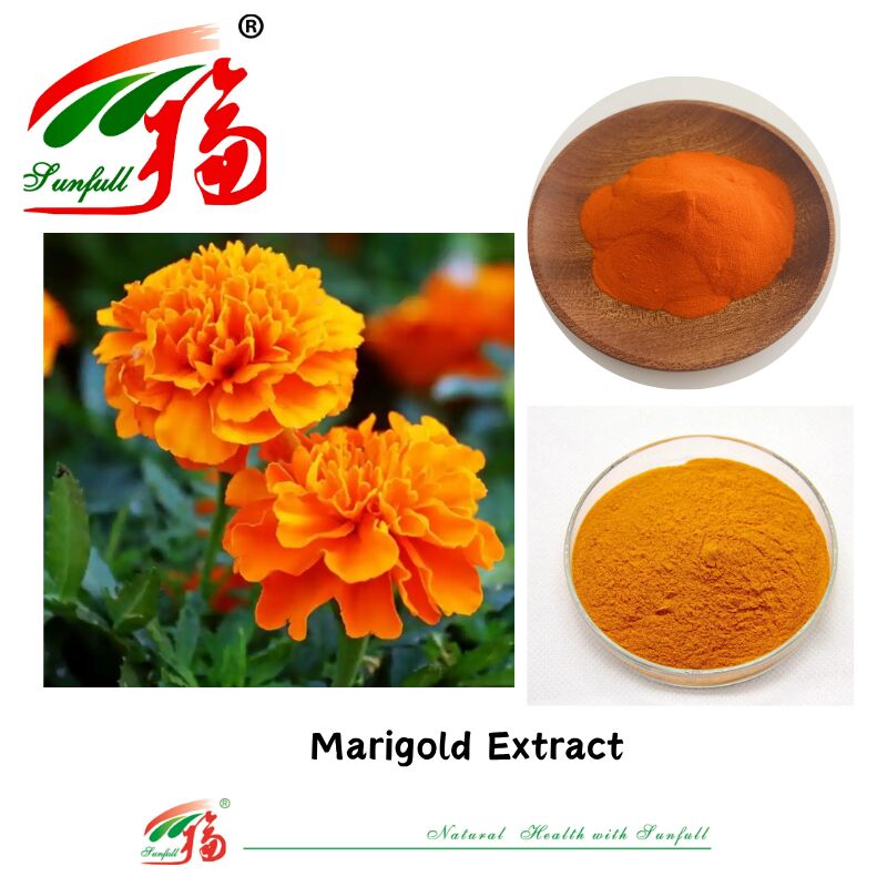 مواد طبیعی چشم سلامت درجه غذایی زاکسانتین ۵٪ محلول در آب لوتئین ۵٪ HPLC عصاره گل مارگولد