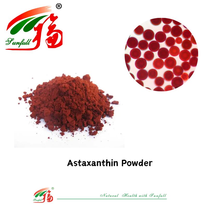 تامین سلامت آنتی اکسیدان های درجه مواد غذایی Sunfull با کیفیت بالا 1-10% عصاره طبیعی هماتوکوکوس پلویالیس/پودر آستاگزانتین