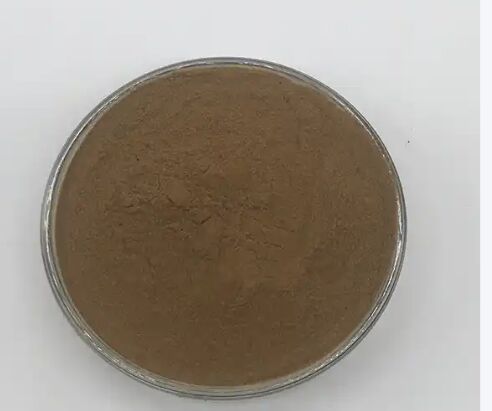 ISO/Kosher عصاره دانه کاسیا درجه هضم غذا را تقویت می کند: 1 / 20٪ عصاره برگ سنا سنوسیدس HPLC