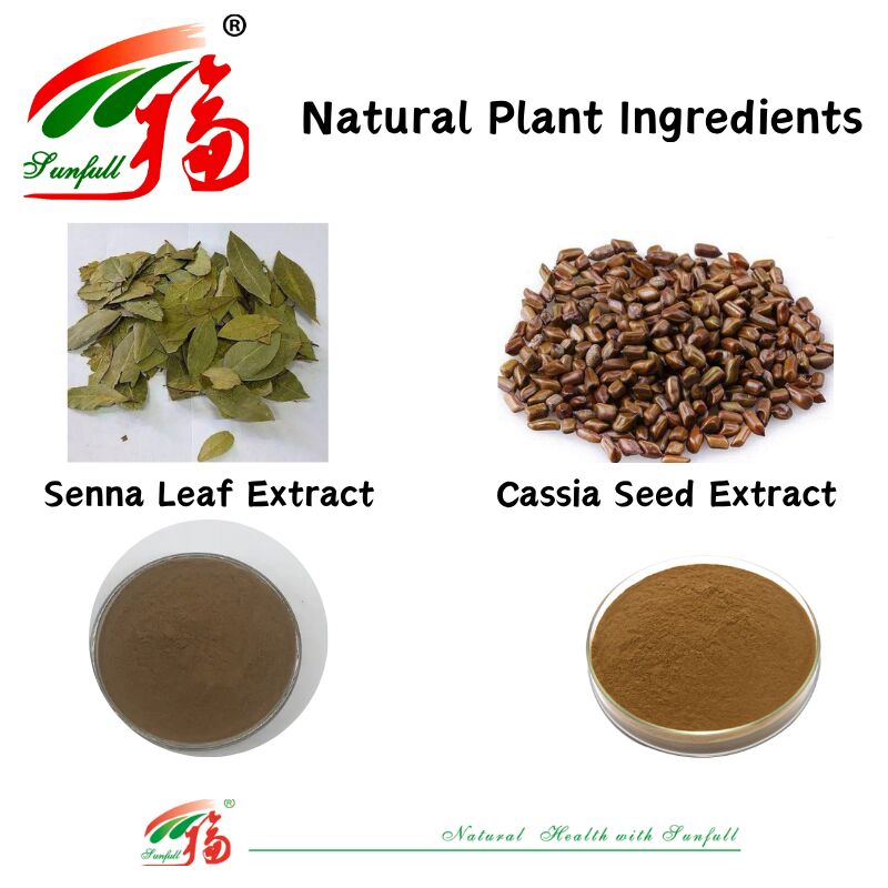 ISO/Kosher عصاره دانه کاسیا درجه هضم غذا را تقویت می کند: 1 / 20٪ عصاره برگ سنا سنوسیدس HPLC