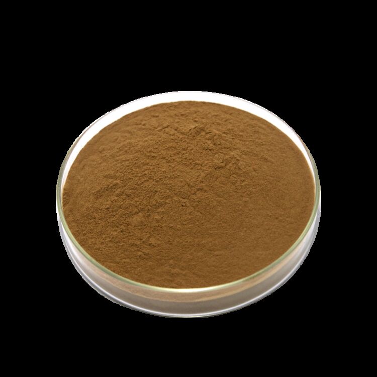 ISO/Kosher عصاره دانه کاسیا درجه هضم غذا را تقویت می کند: 1 / 20٪ عصاره برگ سنا سنوسیدس HPLC