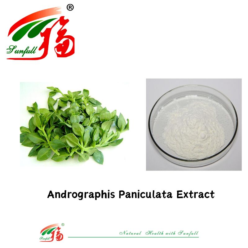 عرضه عمده بهترین قیمت افزودنی غذایی طبیعی عرضه عمده بهترین قیمت افزودنی غذایی طبیعی 95% Andrographis Paniculata Extract CAS No 5508-58-7