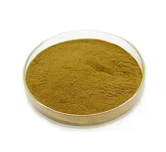 مواد غذایی برای خوراک حیوانات / مکمل های غذایی Eucommia Ulmoides Extract / Green Coffee Bean Extract Chlorogenic Acid 5%-98%