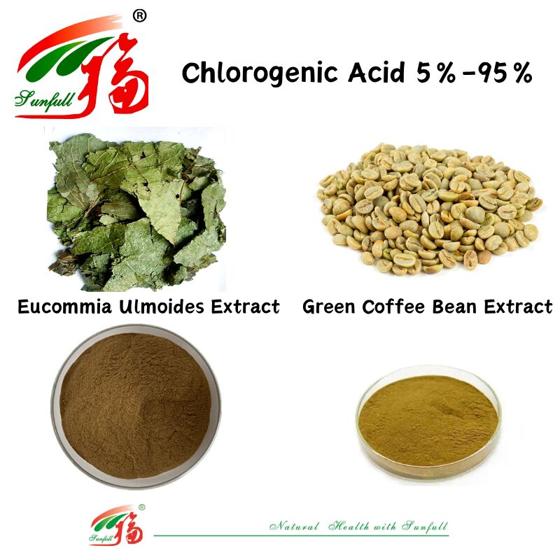 مواد غذایی برای خوراک حیوانات / مکمل های غذایی Eucommia Ulmoides Extract / Green Coffee Bean Extract Chlorogenic Acid 5%-98%