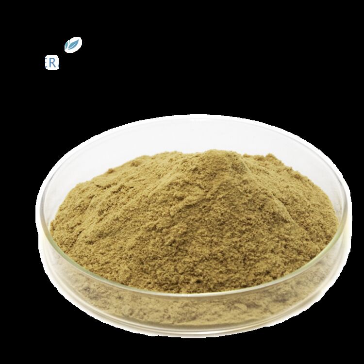 100٪ مواد غذایی طبیعی مکمل های بهداشتی کارخانه عرضه 80٪ اولئوروپئین / 5٪ ~ 20٪ هیدروکسی تیروزول عصاره برگ زیتون