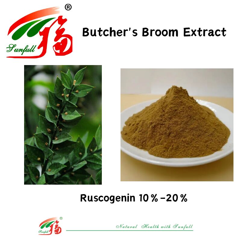 کیفیت بالا قیمت کارخانه عصاره ریشه Ruscus Aculeatus 10 تا 20 درصد عصاره جاروبرقی روسکوژنین