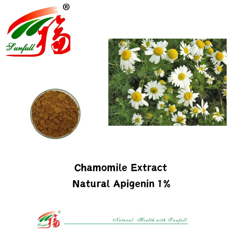 100٪ عصاره دانه های سلنری طبیعی 98٪ پودر اپیژنین CAS 520-36-5 کیفیت بالا اپیژنین 1٪ عصاره بابونه